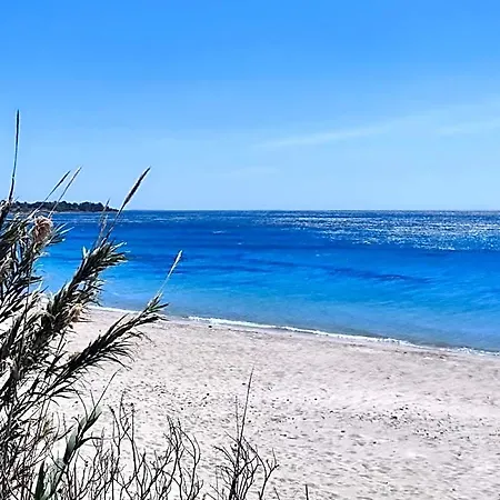 Un Angolo Di Mare In Sardegna
